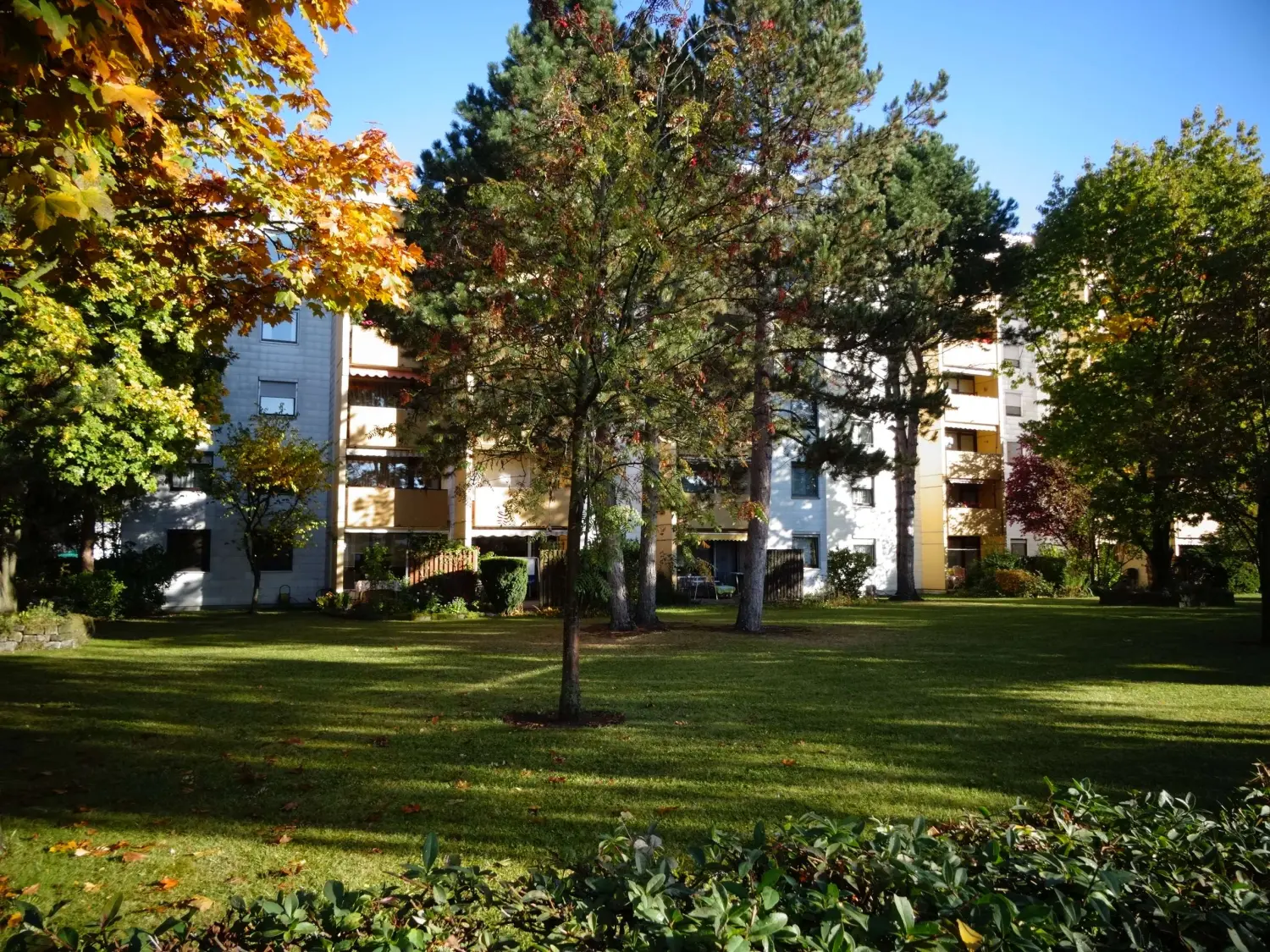 Life Invest Immobilien - Mehrfamilienhäuser und Bäume